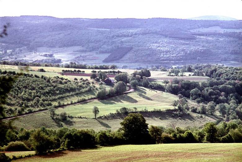 Looking east over the Chenango Valley from Tinker Ridge, June 1965