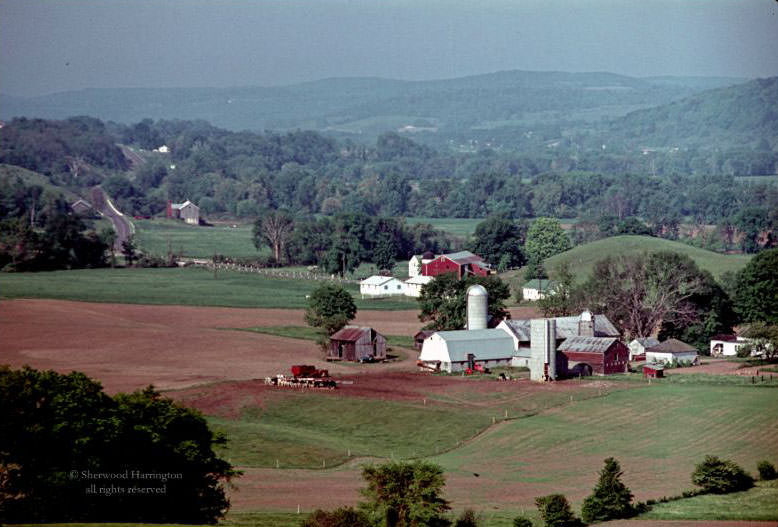 Looking toward Oxford from the old O&W trackbed on the East side of the Chenango Valley, June 1965