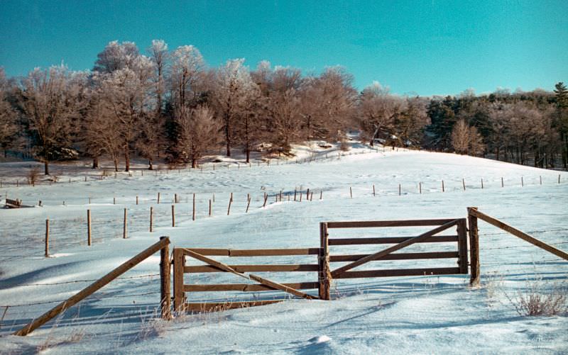 Gate on Tanner Hill, Chenango County, New York, early 1966