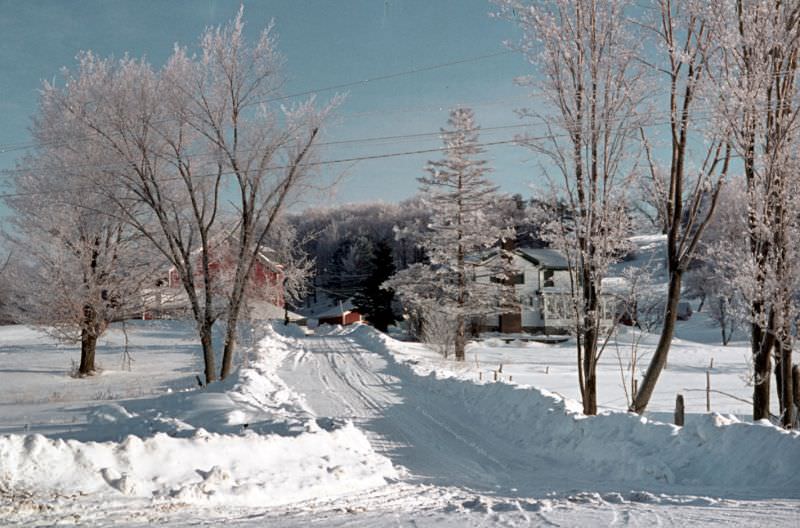 Hoar frost on Tanner Hill, 1966