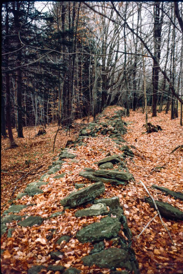 Near White Store, NY, 1967