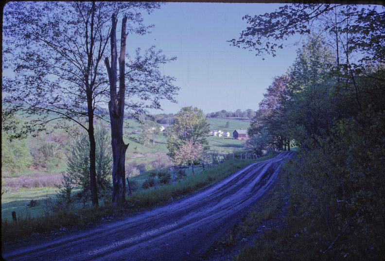 Dirt road near the Dyer cemetery, June 1961