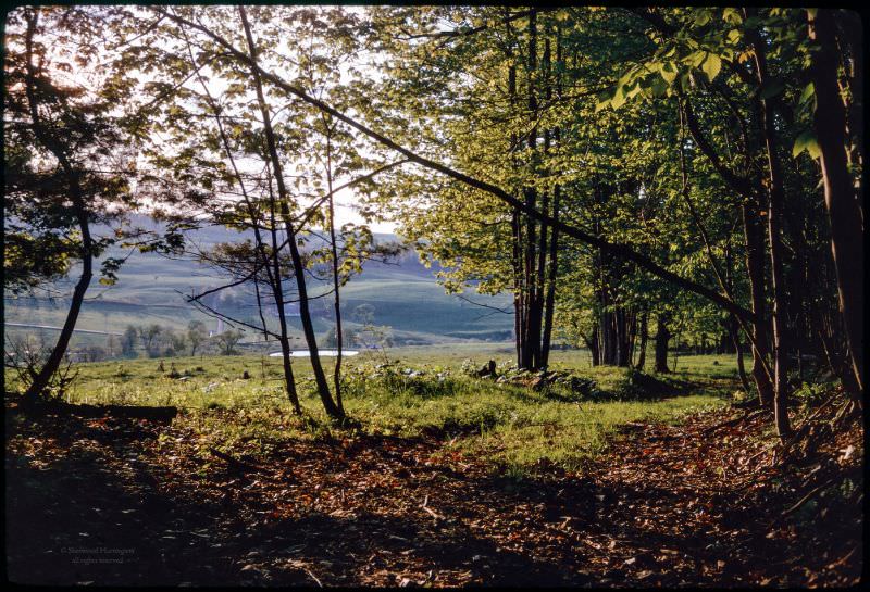 Great Brook Valley, 1961