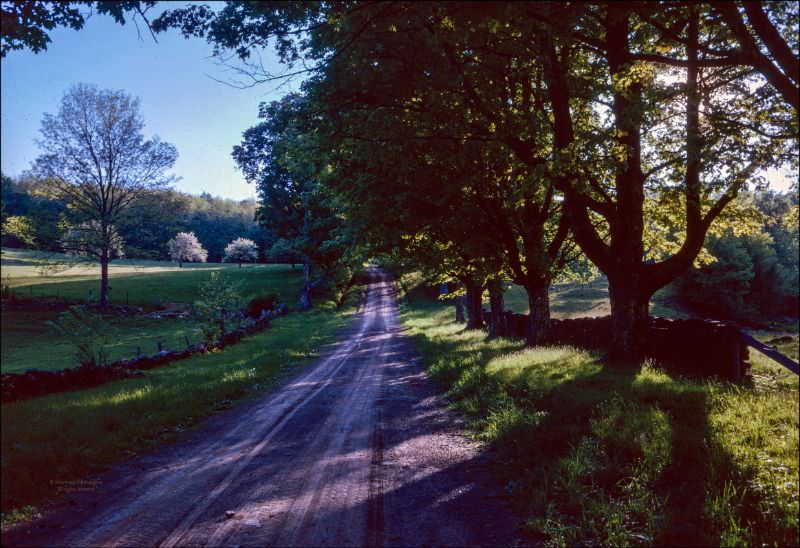 Near Steer Pond in Chenango County, New York, spring 1961