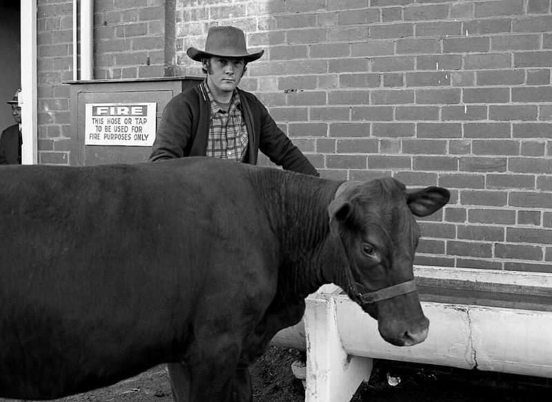 Royal Melbourne Show, 1978