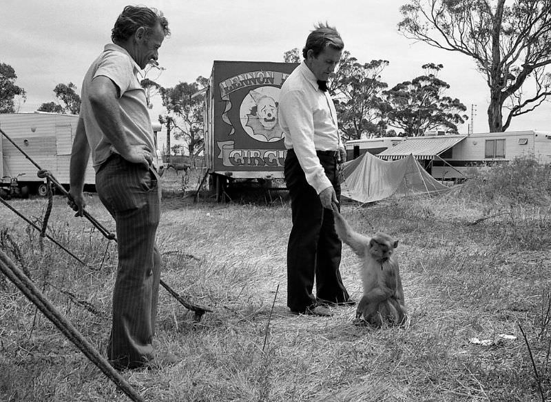 Lennon Brothers Circus, 1977