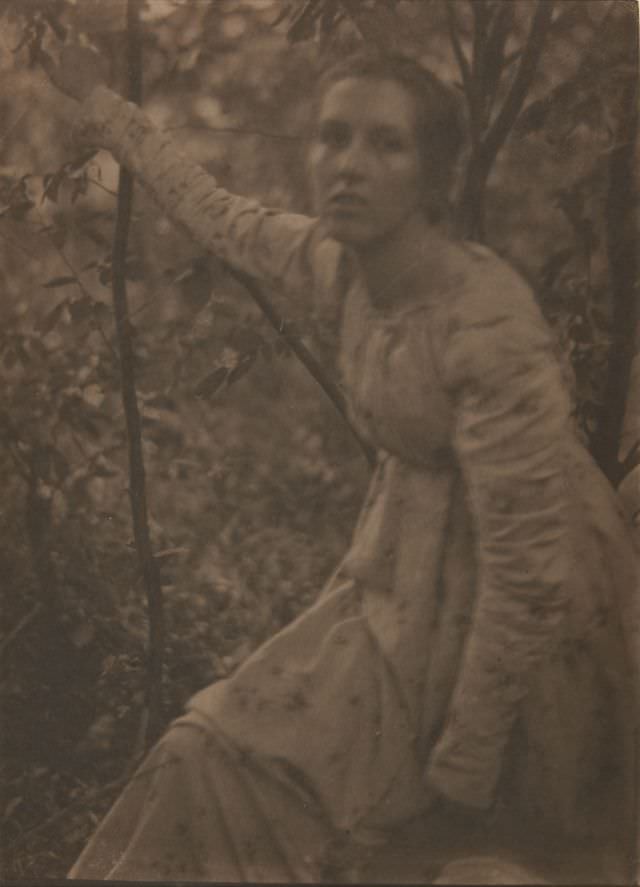 Among the branches, 1899