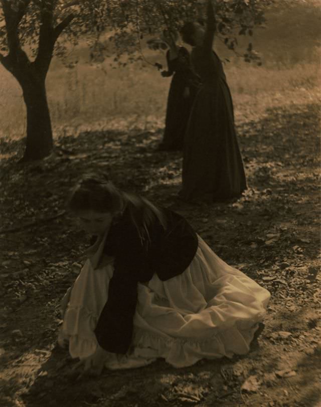 The orchard, Newark, Ohio, 1902