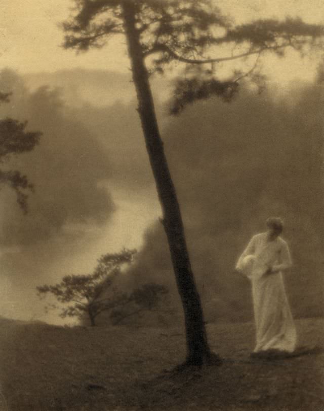 Morning, 1905