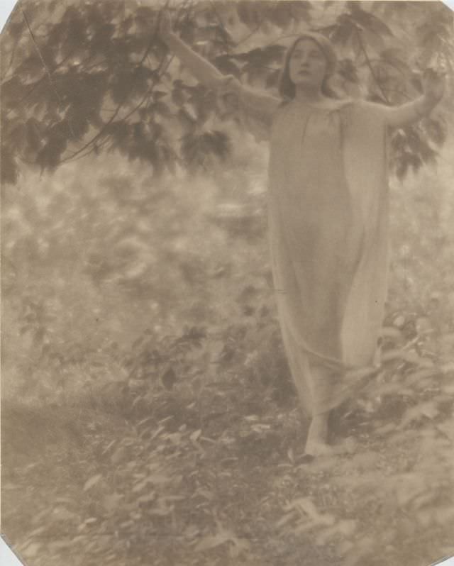 Beneath the bough, 1909