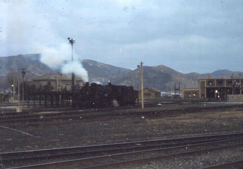 Steam locomotive in the yard at the Tague Station, Tague, 1970s