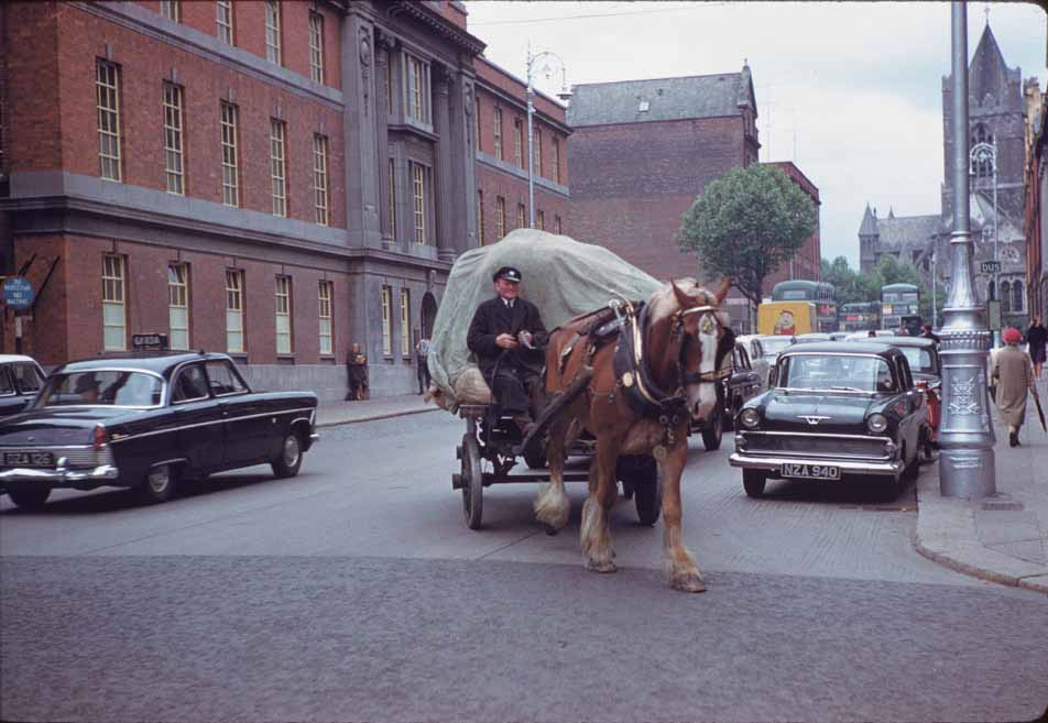 Dray horse Dame St. ,Dublin