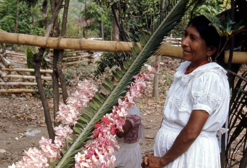 Preparing the palm leaves with May blossoms for the procession, Panchimalco, 1975