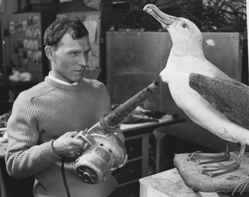 The Bizarre History and Photos of Different Hair Dryer Models from the 20th Century