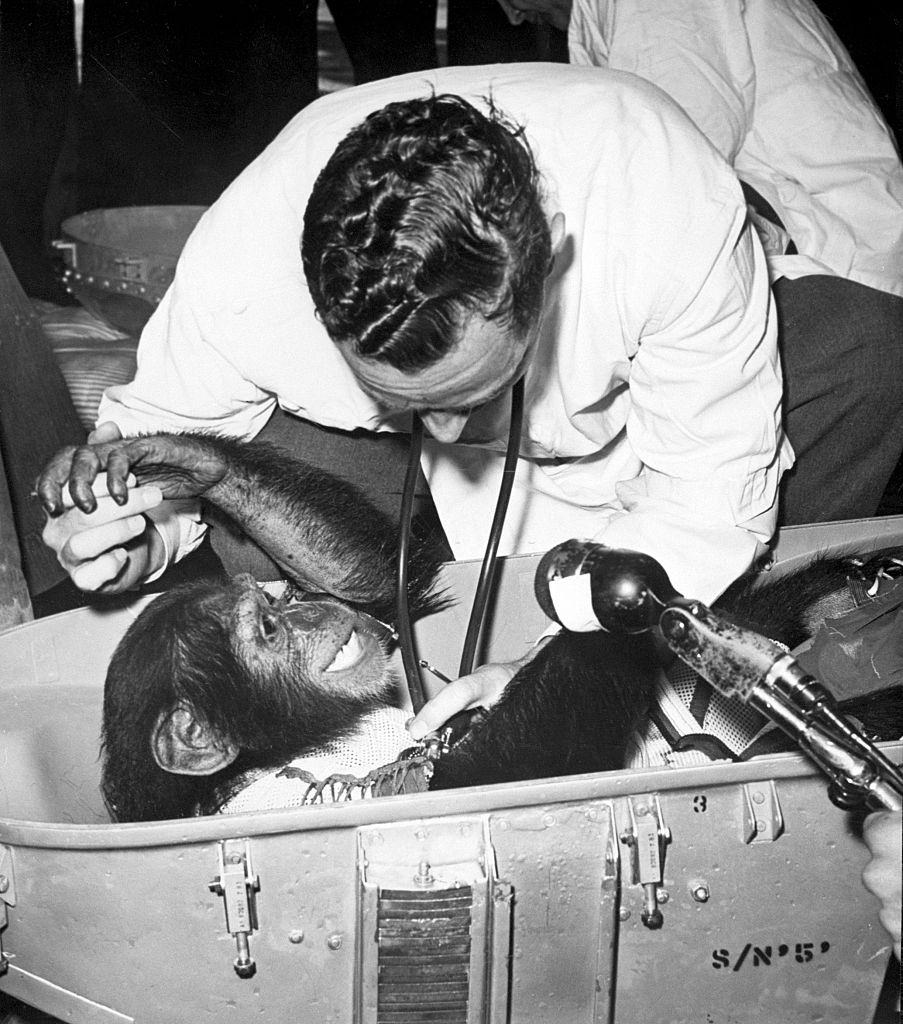 Ham reaches for the hand of US Air Force veterinarian, Richard E. Benson, upon his arrival at the recovery ship after his historic ride through space on Mercury-Redstone 2 in 1961.