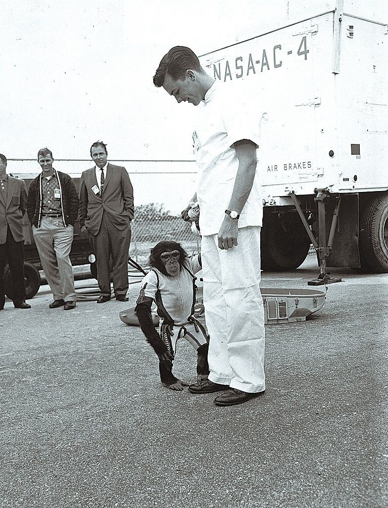 US astronauts Alan Shepard is photographed with Ham who preceded him in space with a 16' 39'' seconds sub-orbital flight performed aboard the Mercury Redstone rocket on January 31, 1961.