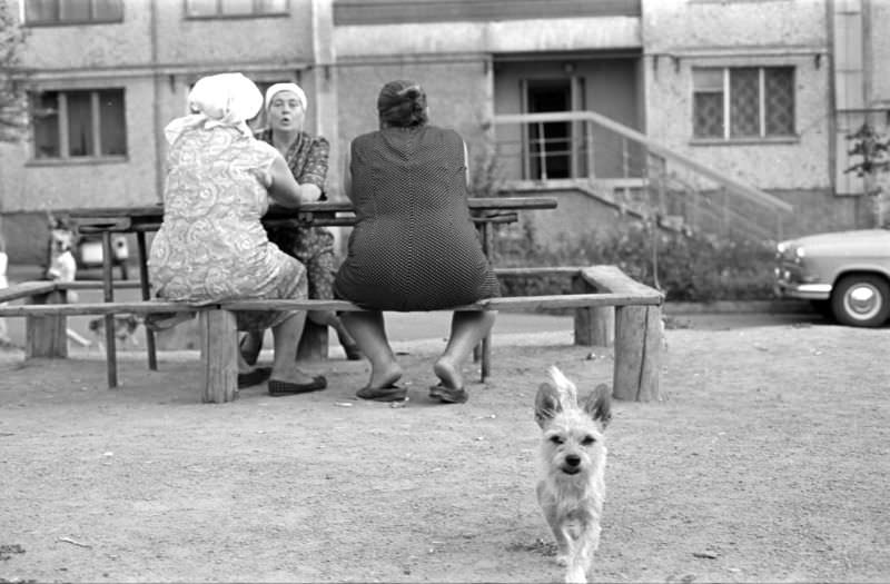 Everyday Life in Khrustalnyi During the 1980s Through the Lens of Juri Nesterov