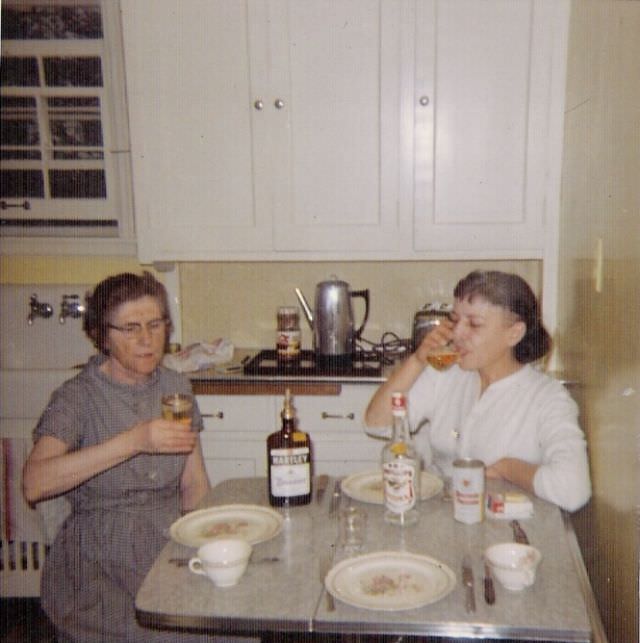 What Kitchens looked like in the 1950s Through These Cool Vintage Photos