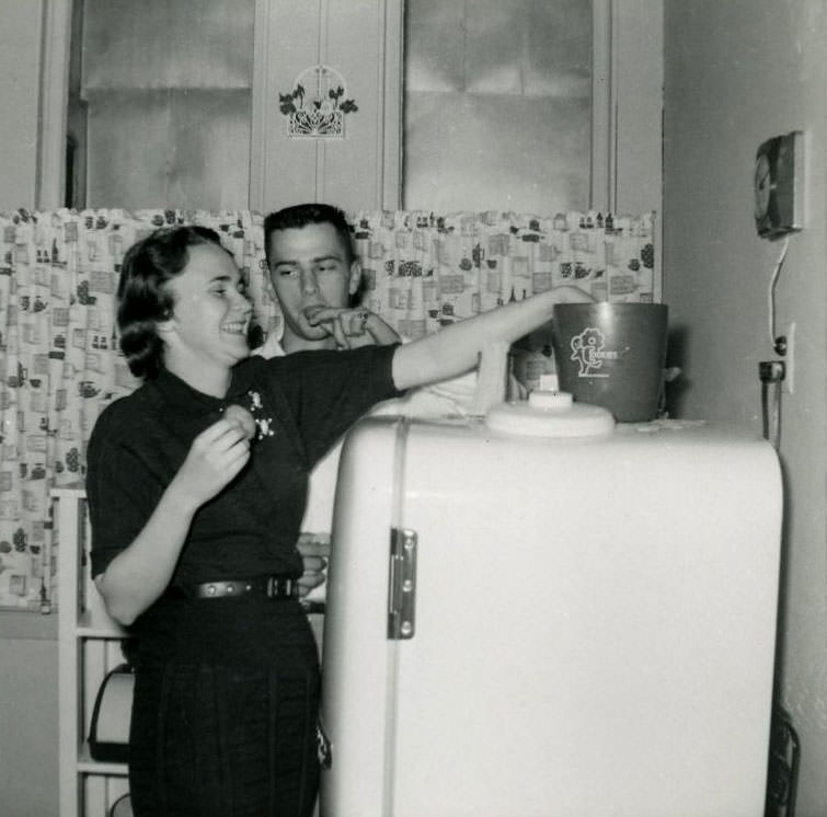 What Kitchens looked like in the 1950s Through These Cool Vintage Photos