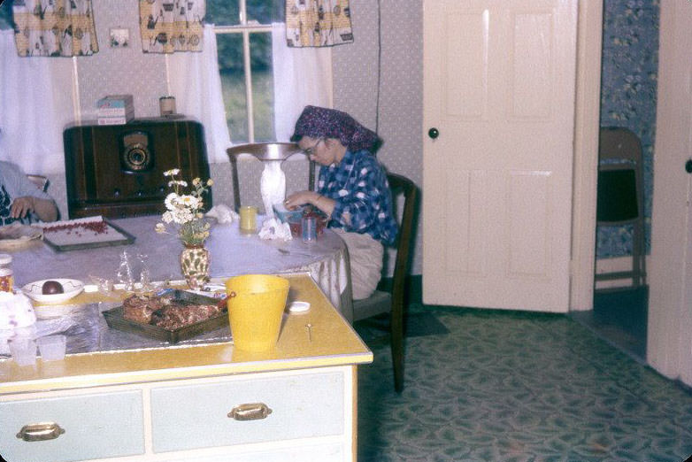 What Kitchens looked like in the 1950s Through These Cool Vintage Photos