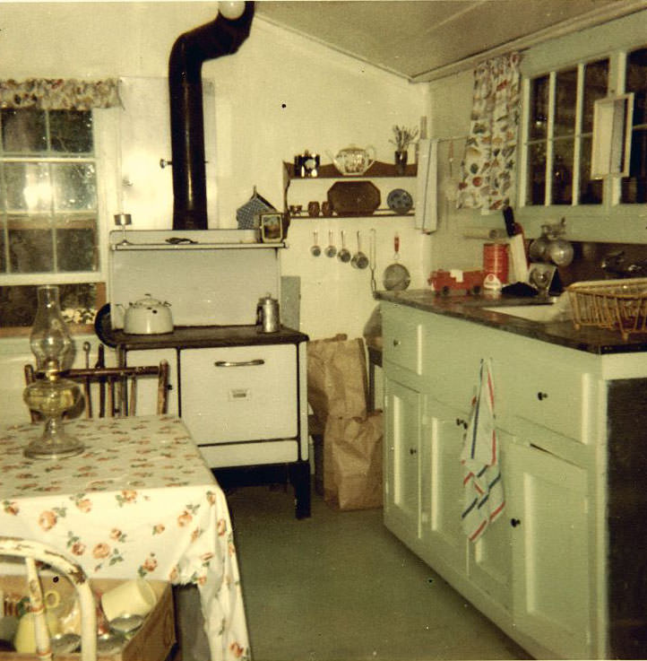 What Kitchens looked like in the 1950s Through These Cool Vintage Photos