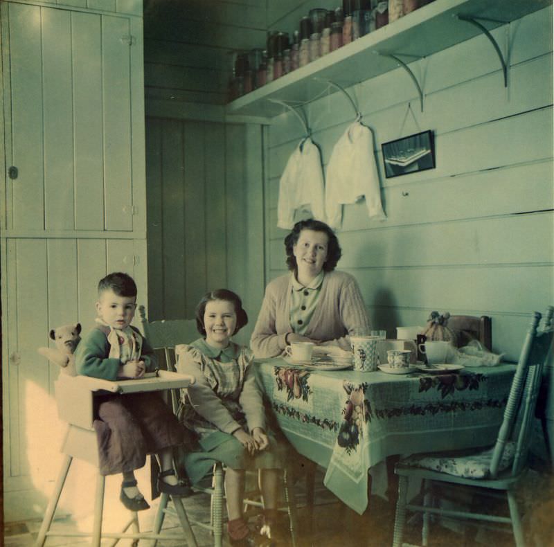 What Kitchens looked like in the 1950s Through These Cool Vintage Photos