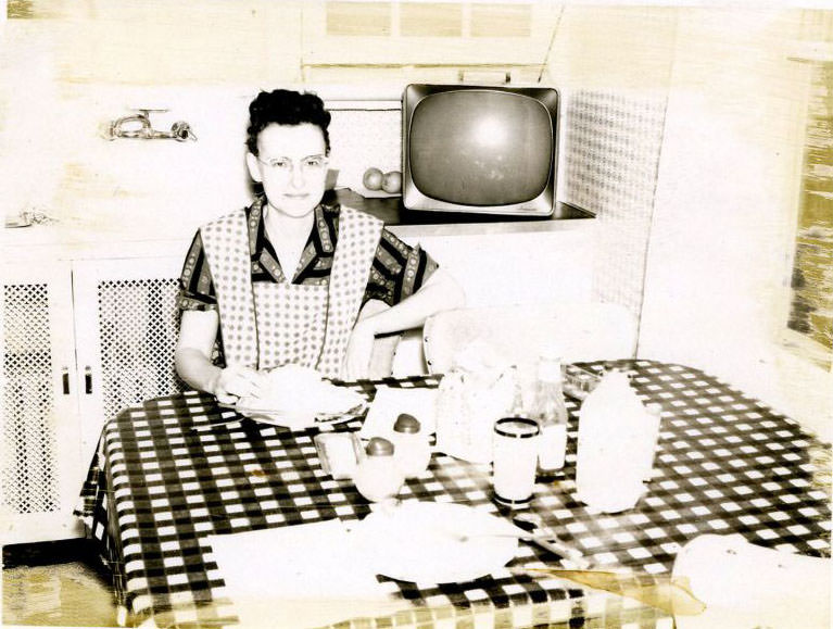 What Kitchens looked like in the 1950s Through These Cool Vintage Photos