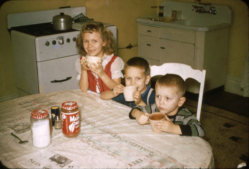 What Kitchens looked like in the 1950s Through These Cool Vintage Photos