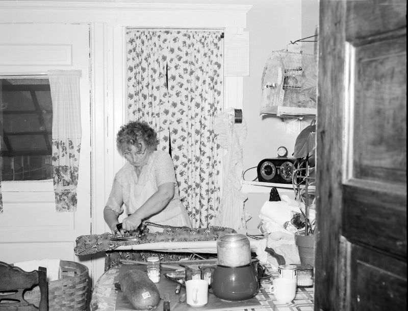 What Kitchens looked like in the 1950s Through These Cool Vintage Photos