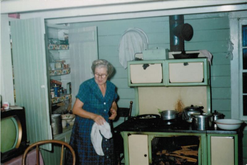 What Kitchens looked like in the 1950s Through These Cool Vintage Photos