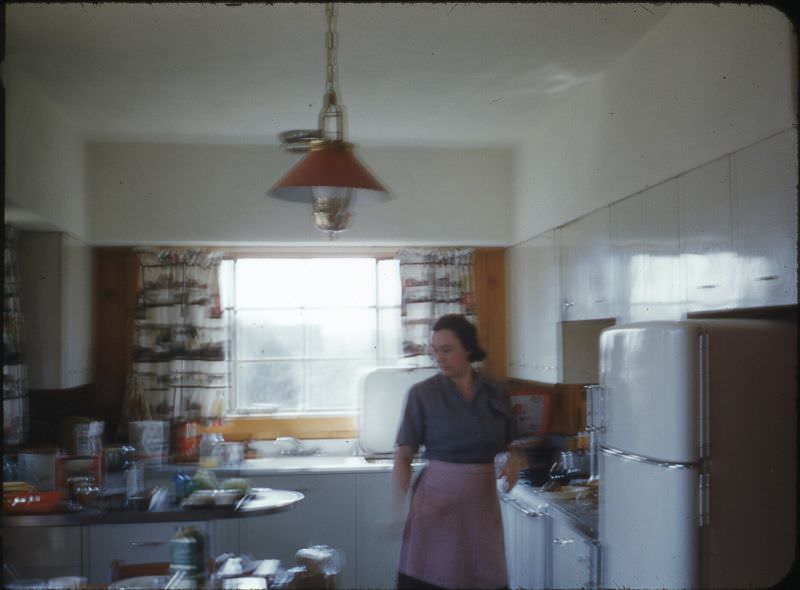 What Kitchens looked like in the 1950s Through These Cool Vintage Photos