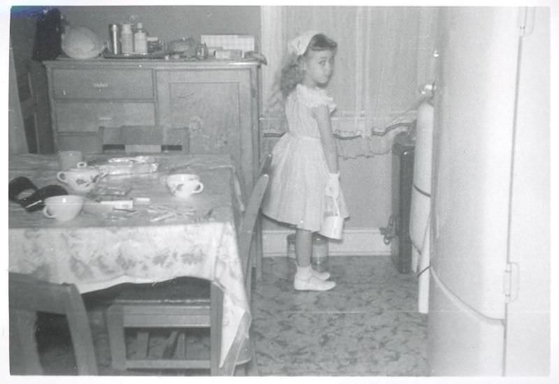 What Kitchens looked like in the 1950s Through These Cool Vintage Photos