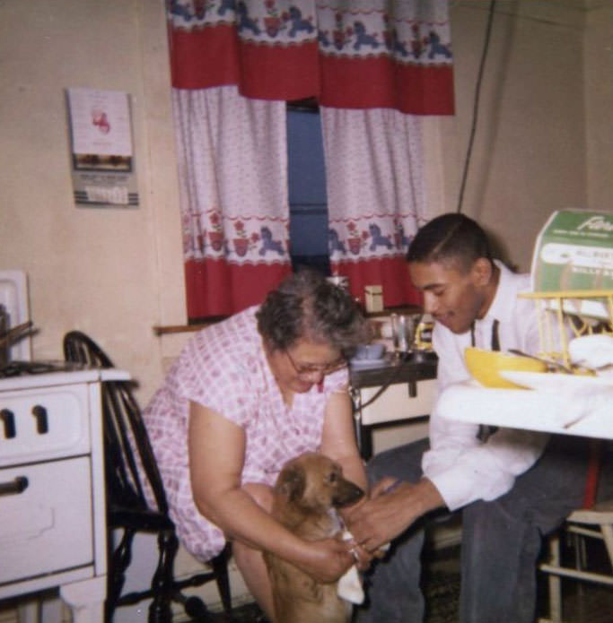 What Kitchens looked like in the 1950s Through These Cool Vintage Photos