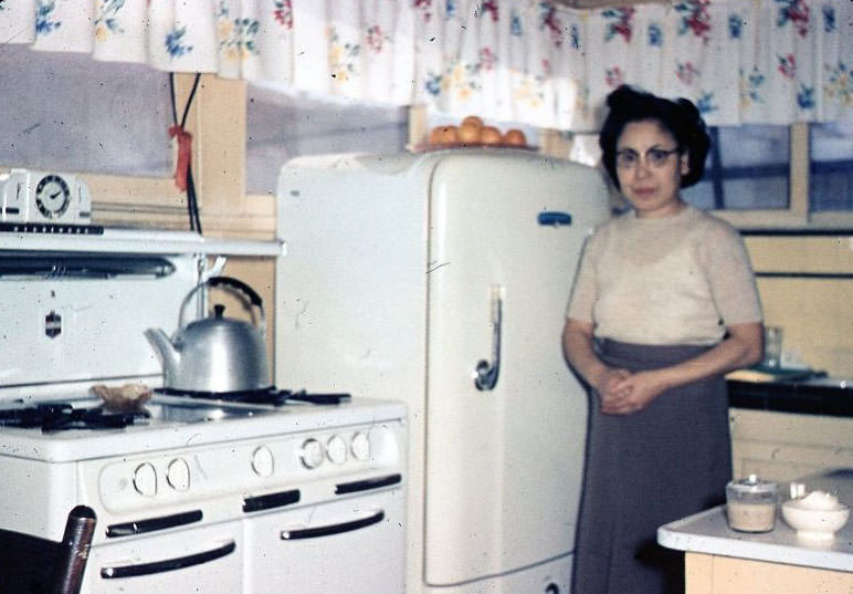 What Kitchens looked like in the 1950s Through These Cool Vintage Photos