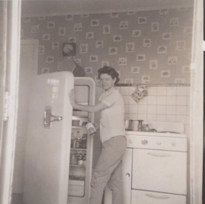 What Kitchens looked like in the 1950s Through These Cool Vintage Photos