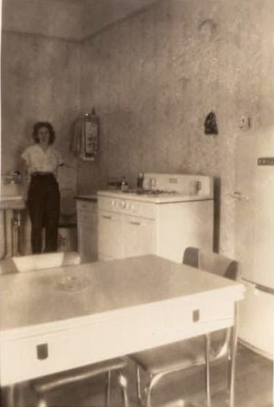 What Kitchens looked like in the 1950s Through These Cool Vintage Photos