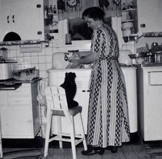 What Kitchens looked like in the 1950s Through These Cool Vintage Photos