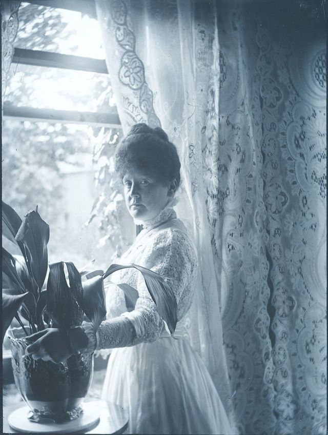 Woman at the window, with her prized Aspidistra