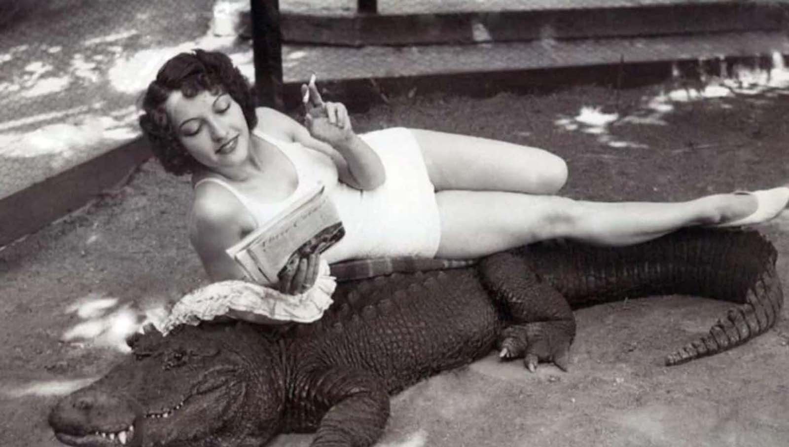 Los Angeles Alligator Farm: The Amusement Park where visitors could Ride and Play with Alligators