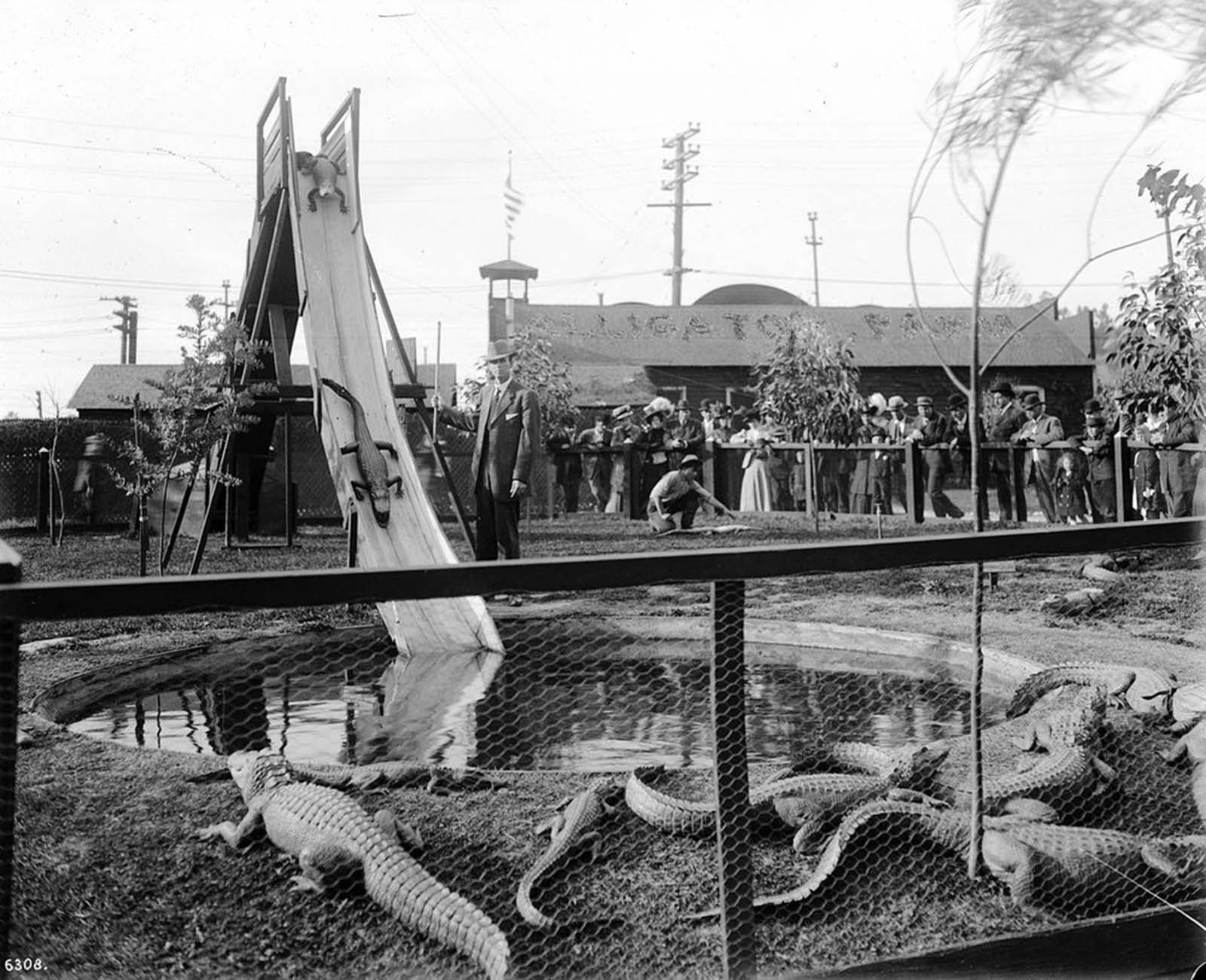 Alligator slides were one of the park’s most popular attractions.