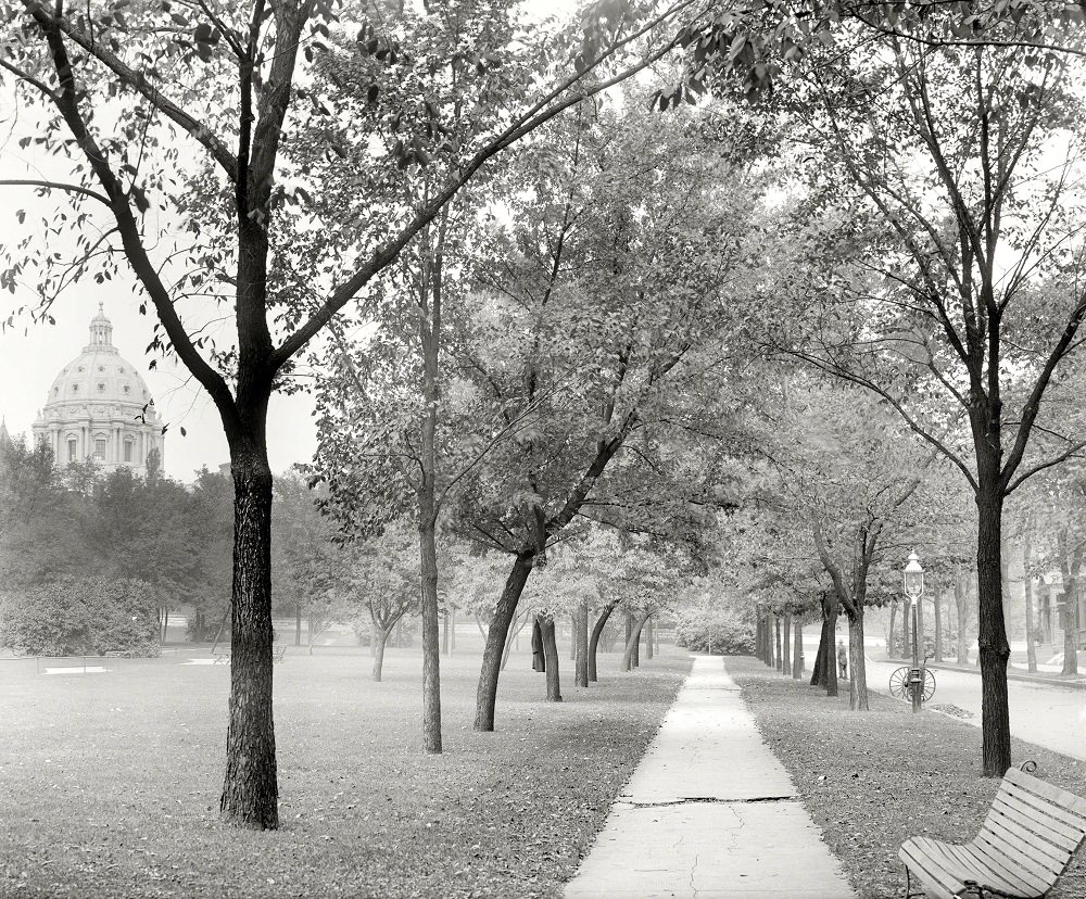 Capitol dome from Central Park, St. Paul, Minnesota, 1910