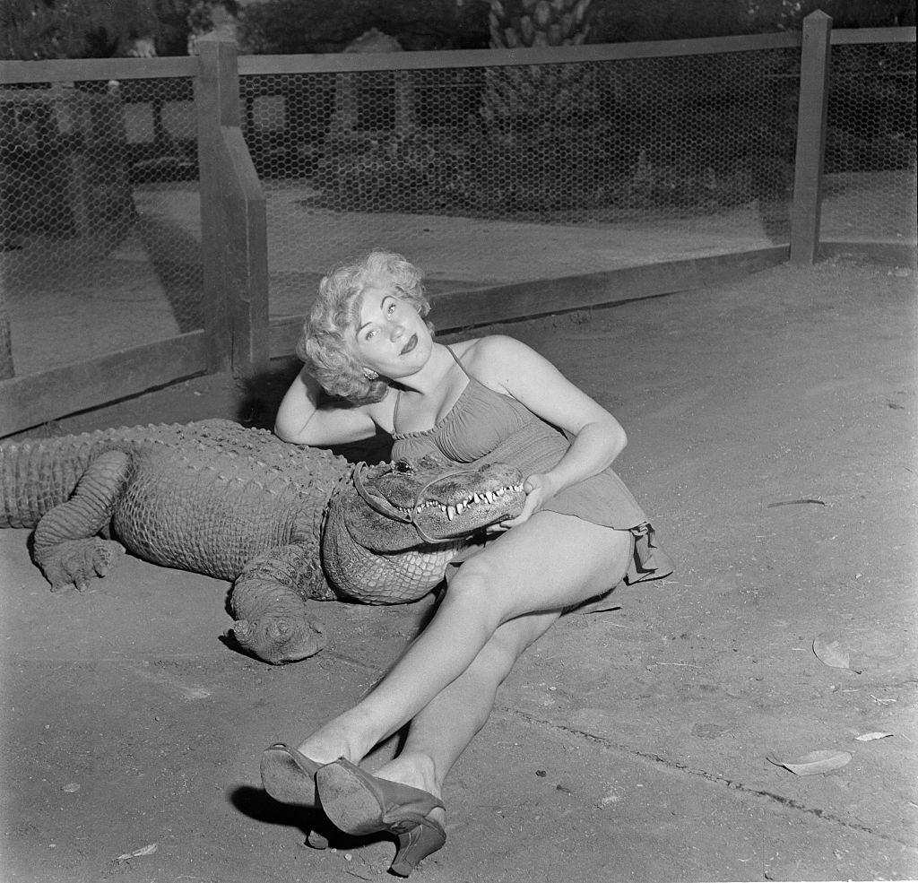 A model poses with an alligator at the Los Angeles Alligator Farm, 1949