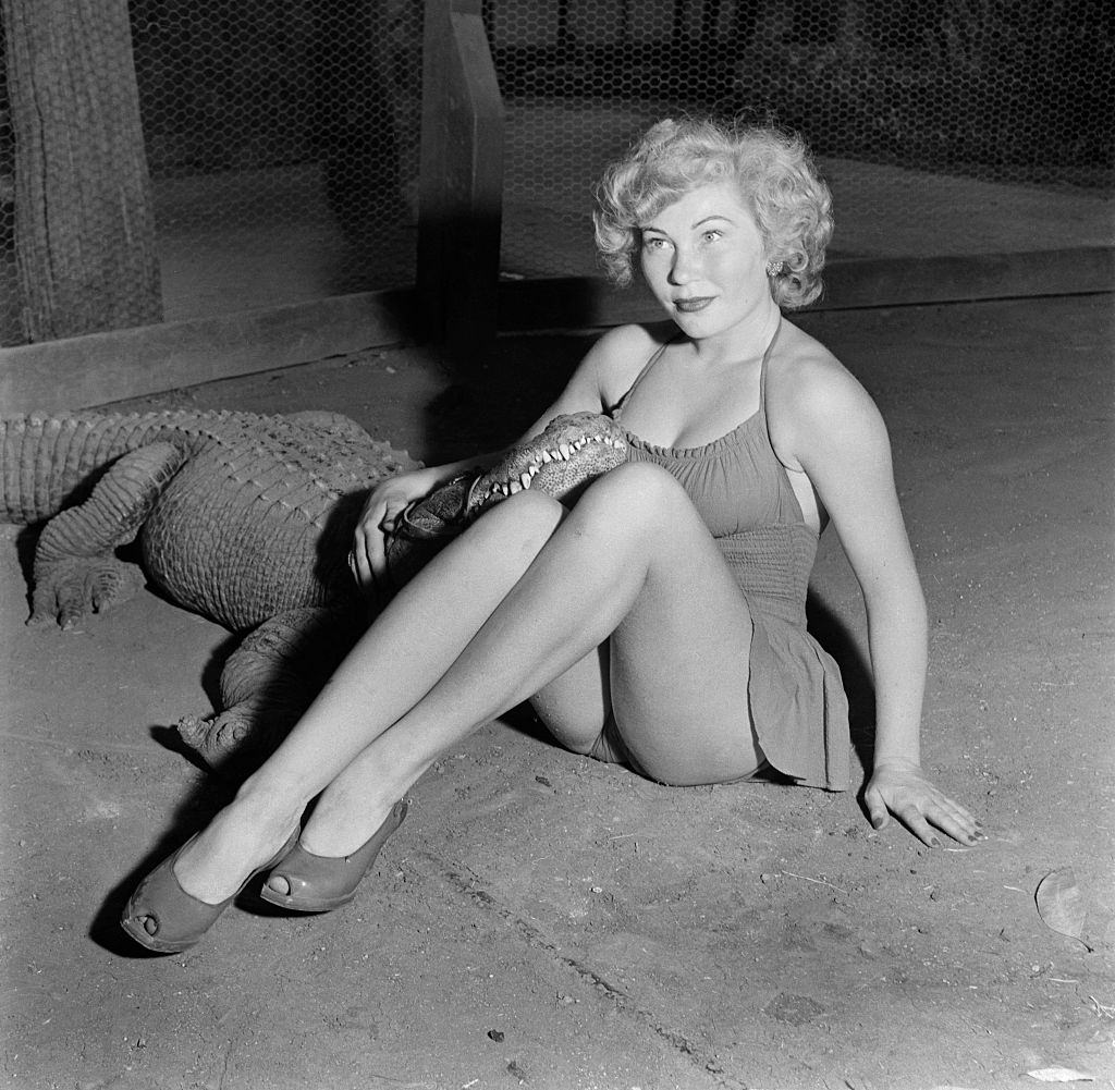 A model poses with an alligator at the Los Angeles Alligator Farm, 1949