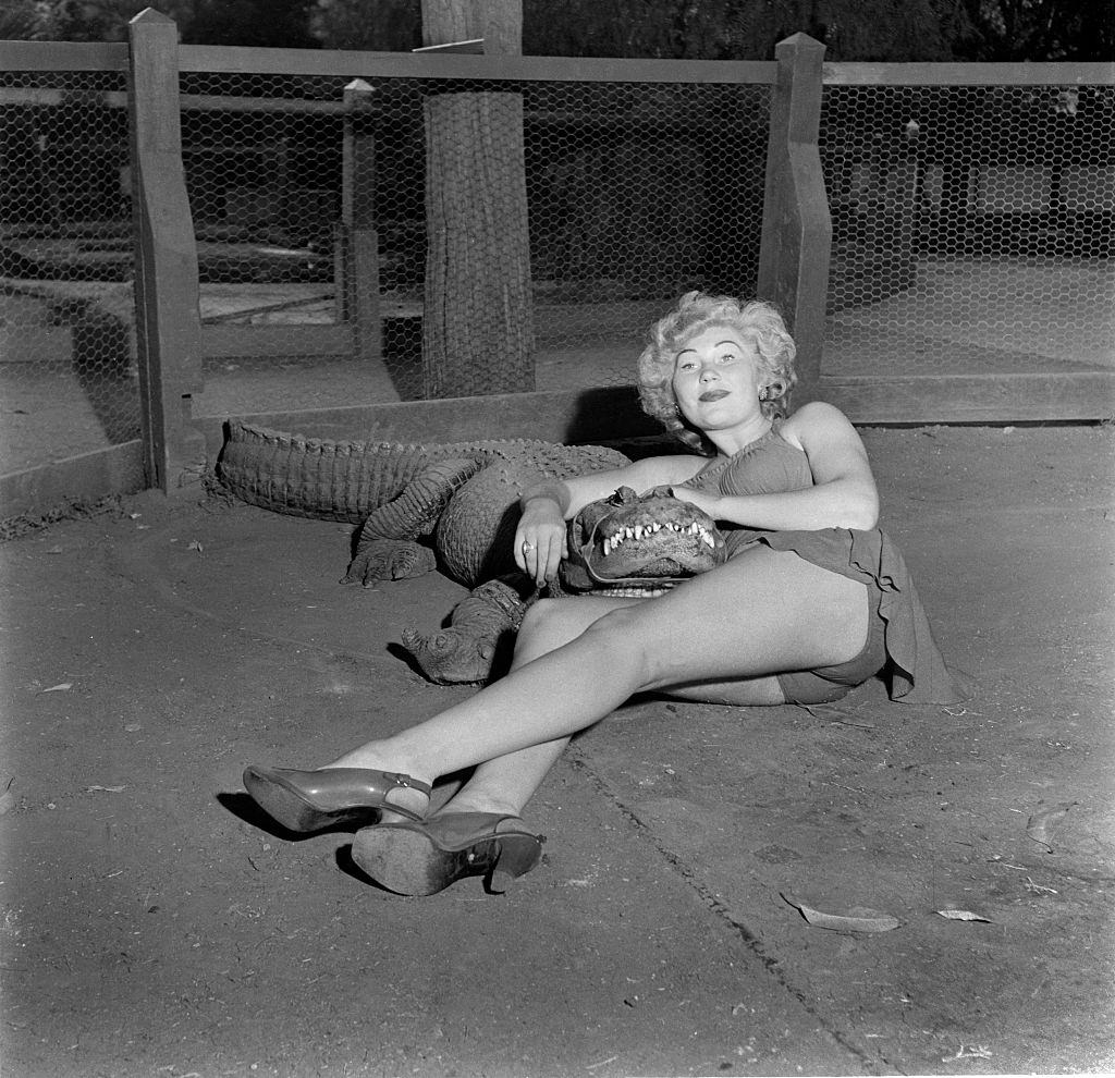 A model poses with an alligator at the Los Angeles Alligator Farm.