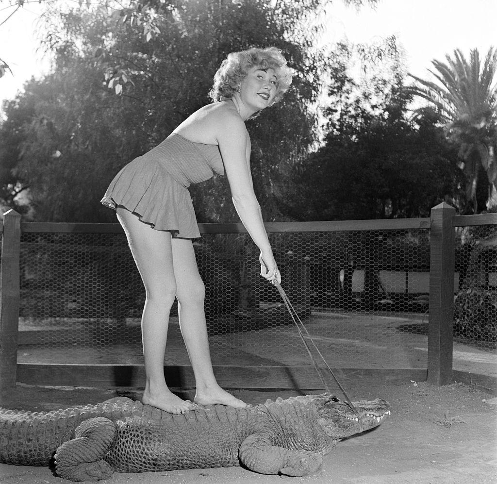 Los Angeles Alligator Farm, 1949