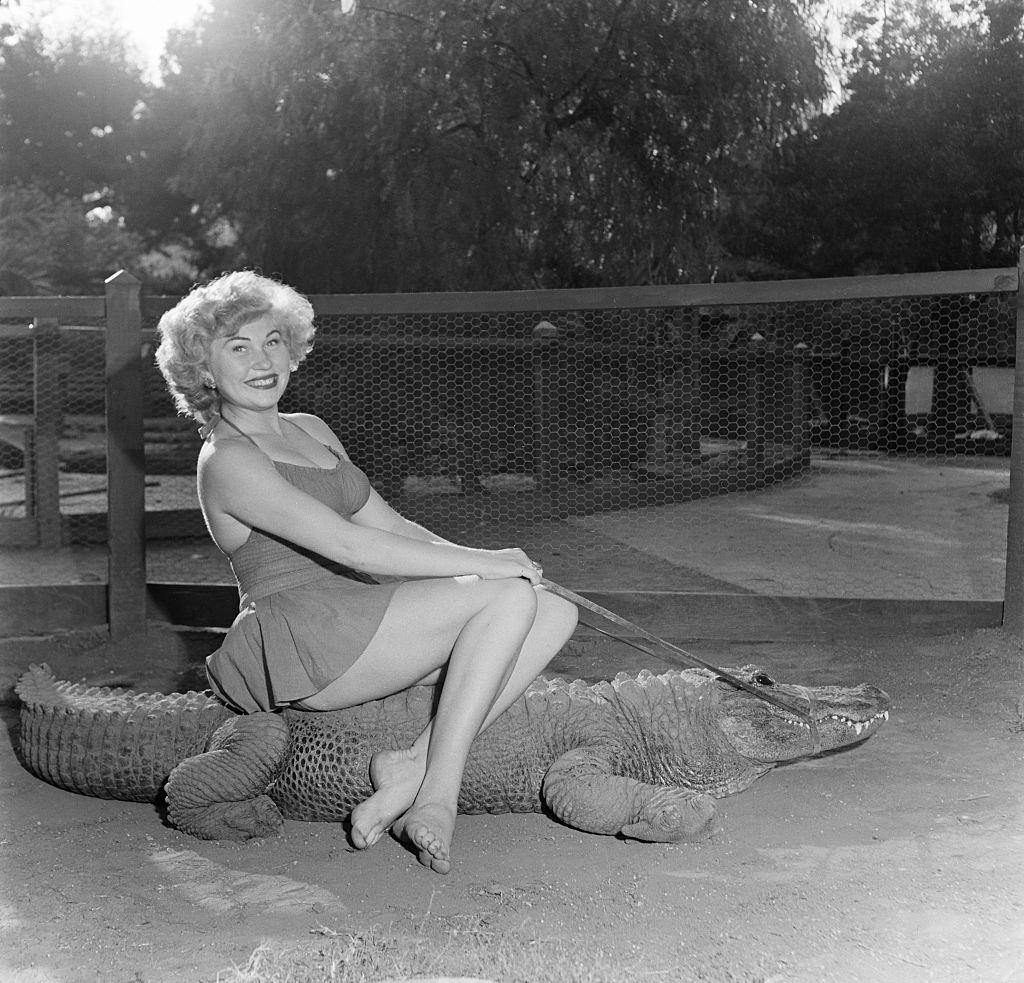 A model poses as she rides an alligator at the Los Angeles Alligator Farm, 1949