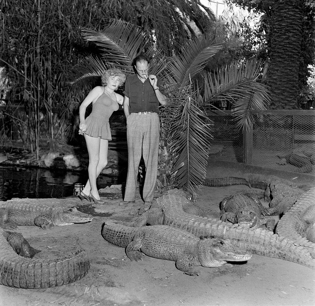 A model stands with an alligator wrangler by alligators at the Los Angeles Alligator Farm, 1949