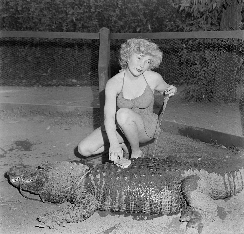 A model poses as she washes an alligator at the Los Angeles Alligator Farm at 3627 Mission Road in the Lincoln Heights area of Los Angeles, 1949.