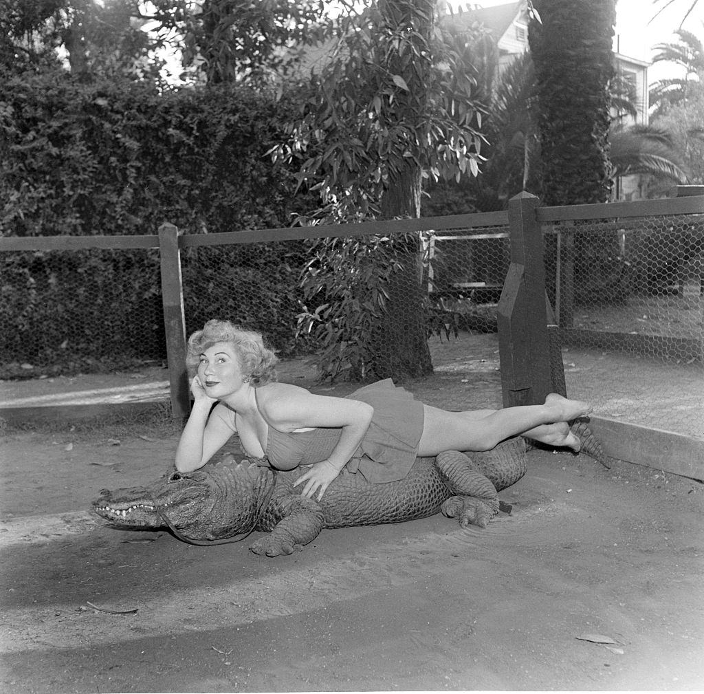 A model poses lays on an alligator at the Los Angeles Alligator Farm, 1949