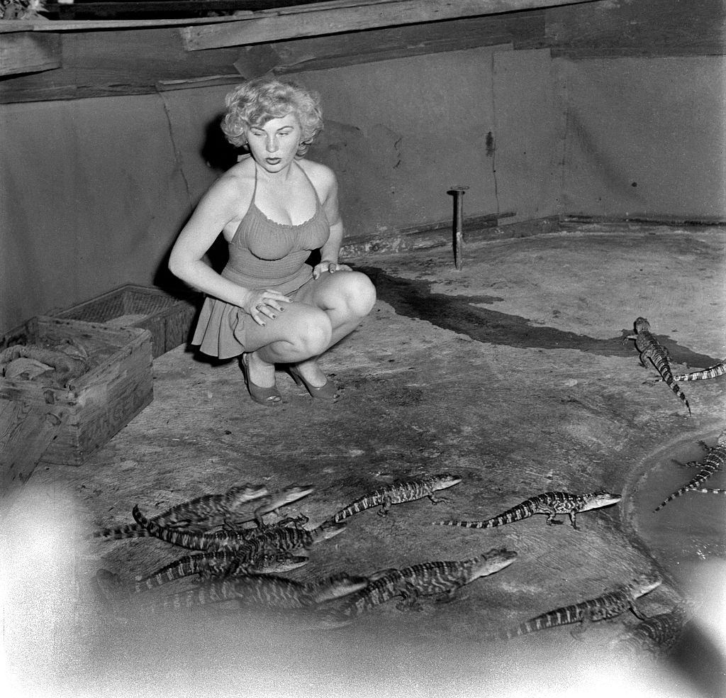 A model poses with baby alligators at the Los Angeles Alligator Farm.